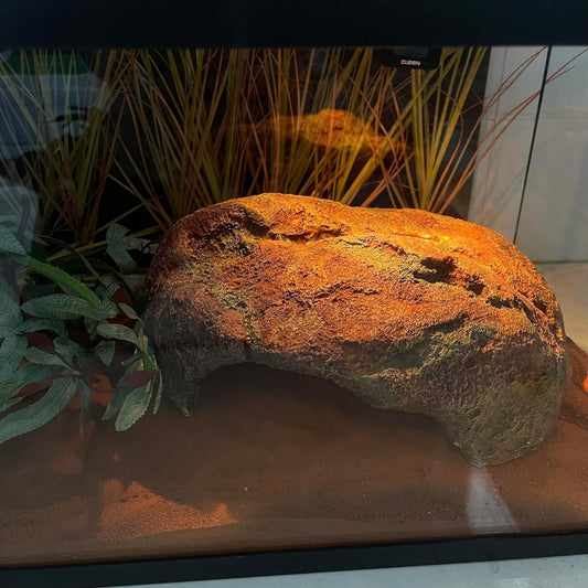 Extra Large Reptile Hide Resin Snake Hides for Ball Pythons Lizard Reddish Brown