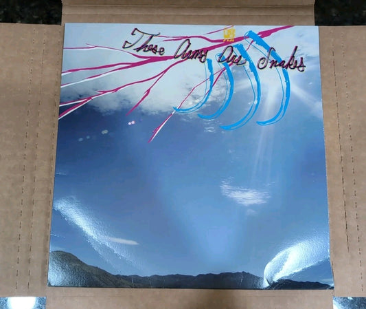 Easter by These Arms Are Snakes (Record, 2022) - Bent Sleeve