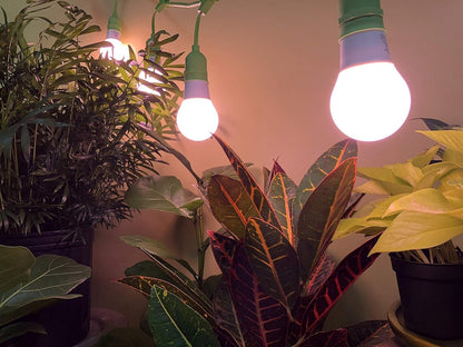 Miracle LED Craft Fire Blossom Red Spectrum Grow Light Bulb Replacing 150W SALE