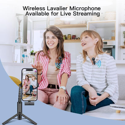 Leettus Black Interviews Vlog Short Video Wireless Lavalier Microphone 2pcs