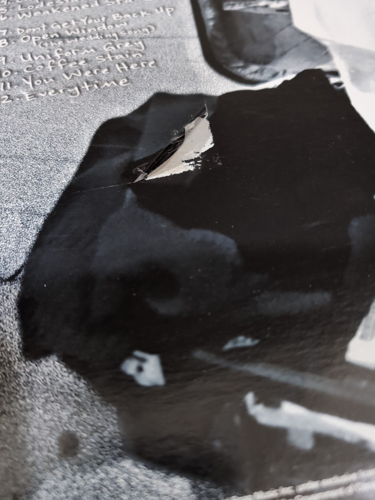 You Were Here by Harmer, Sarah (Record, 2020)