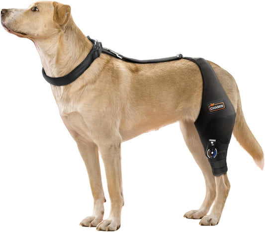 Adjustable Dog Knee Brace for Torn ACL Hind Leg - Rear Leg Limp - (Left Leg, XL)