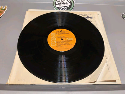 John Denver Whose Garden Was This 1970 Vinyl LP RCA Victor Folk Country