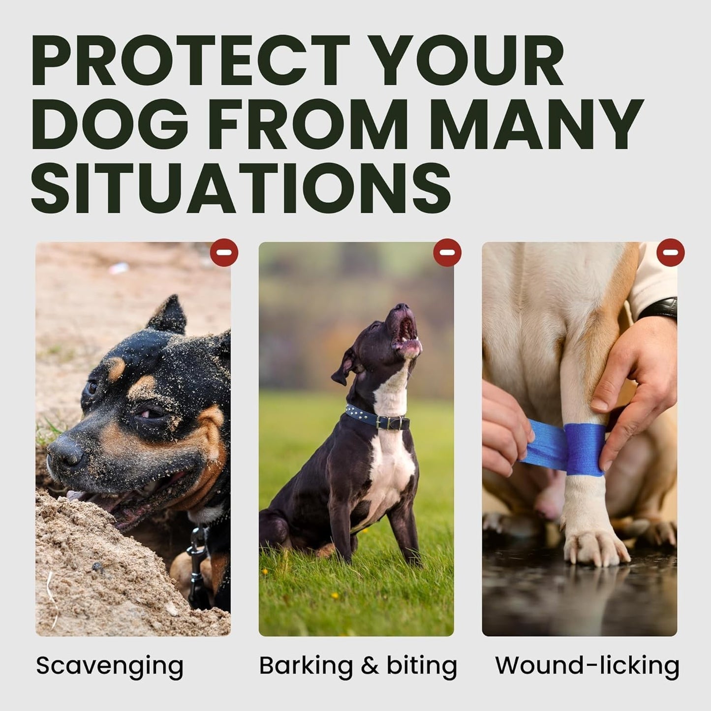 BRONZEDOG Steel Dog Muzzle for Rottweiler – Large Metal Basket w/ Leather Straps