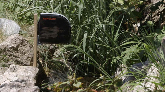 Fish Mate Automatic Pond and Aquarium Fish Feeder (P21) - Suitable for All Food
