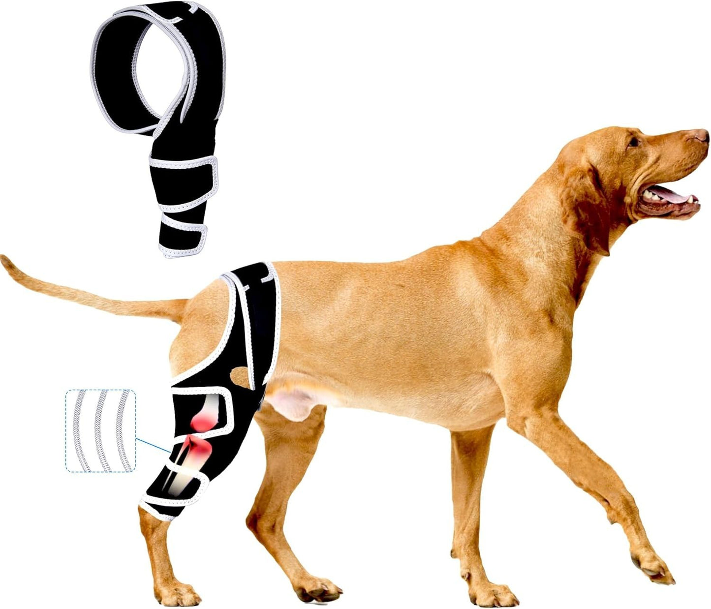 Dog Knee Brace for Torn ACL, Hip Dysplasia, Dog CCL Brace Front Leg or Rear XS