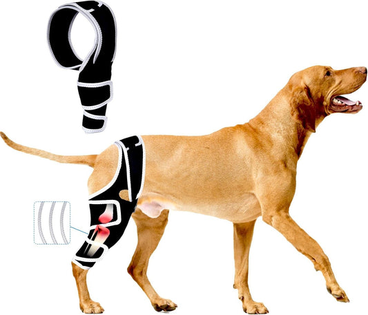 Dog Knee Brace for Torn ACL, Hip Dysplasia, Dog CCL Brace Front Leg or Rear XS