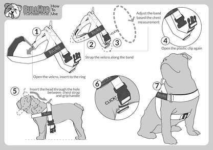 BULLHUG Adjustable Harness for bulldogs XL - Neck: 21"-26" Chest: 33"-36" BLACK