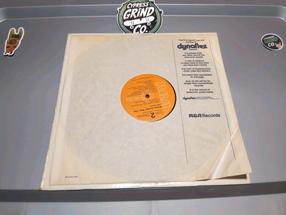 John Denver Whose Garden Was This 1970 Vinyl LP RCA Victor Folk Country