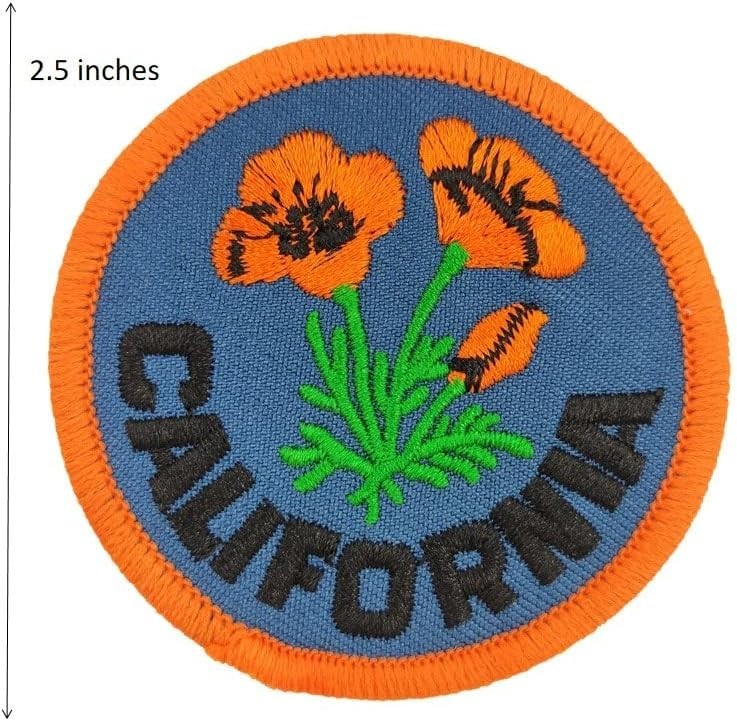 Hollywood Travel Souvenir Embroidered Iron-On Patches (Set of 1, 2 Inches X 2 In