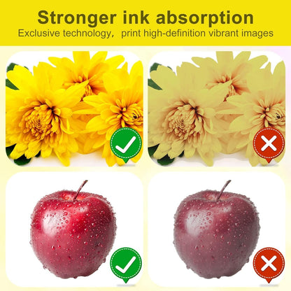 13" x 328 ft DTF Transfer Film Roll Double Matte PET Paper for Direct to Film