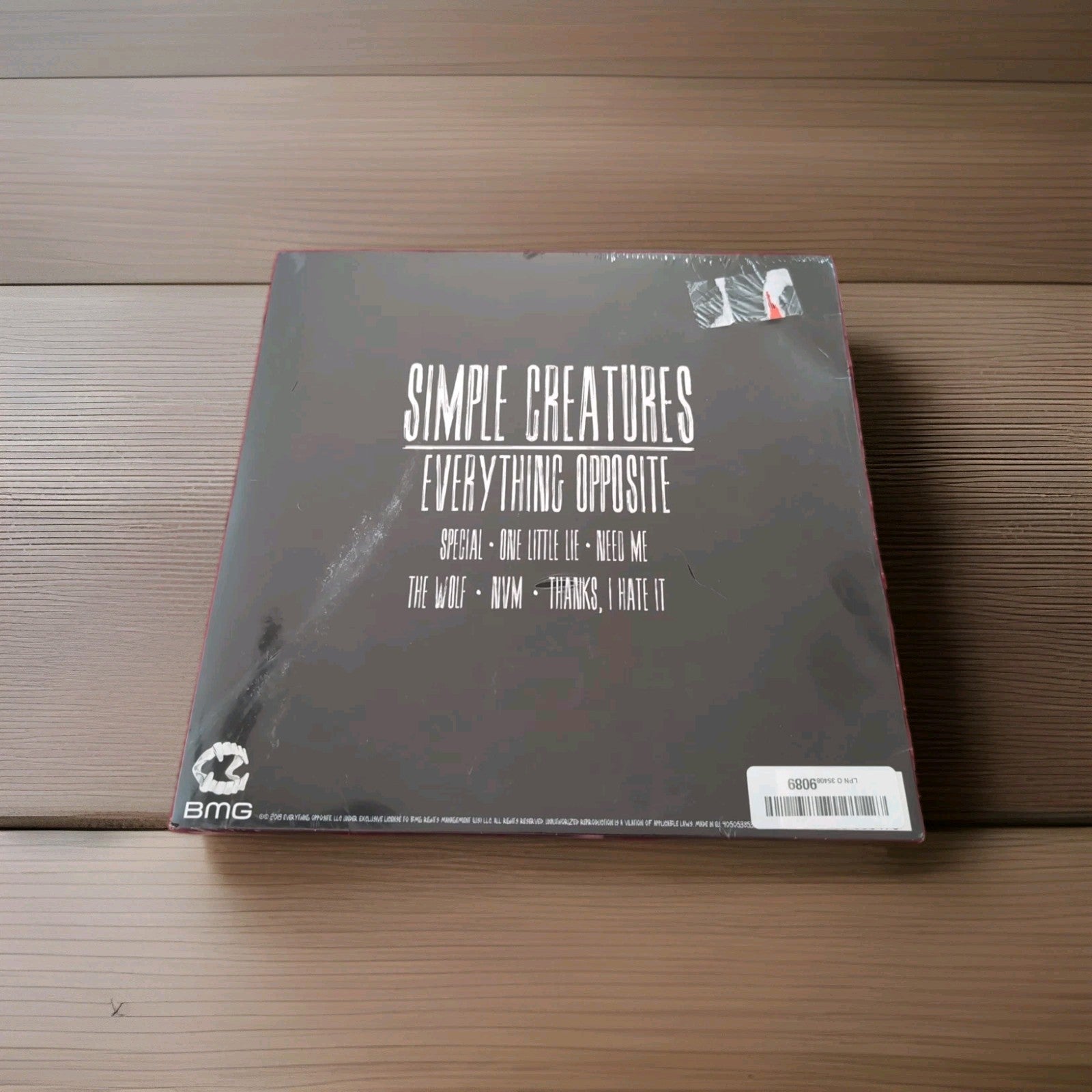Everything Opposite by Simple Creatures (Record, 2019)