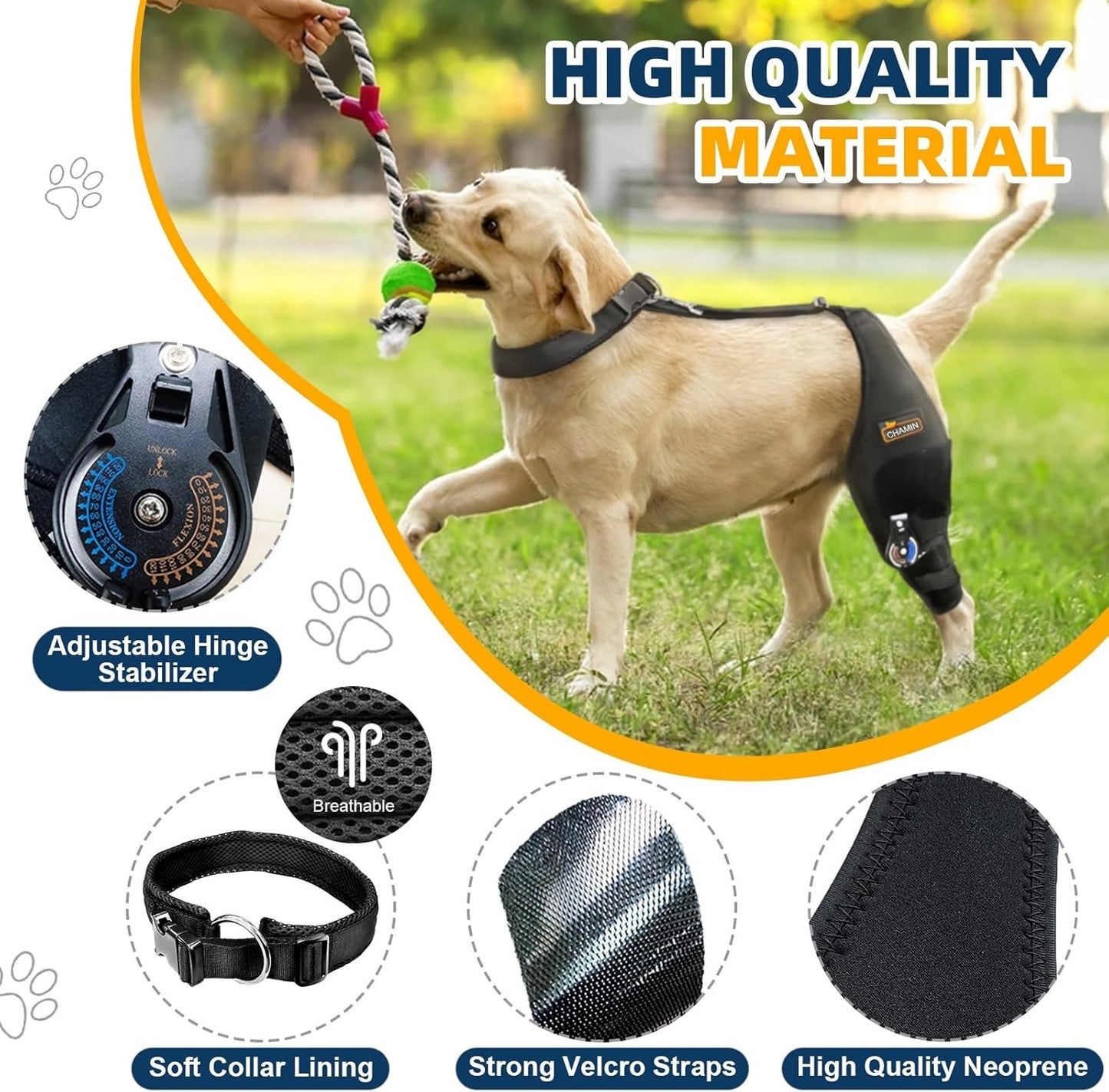 Adjustable Dog Knee Brace for Torn ACL Hind Leg - Rear Leg Limp - (Left Leg, XL)