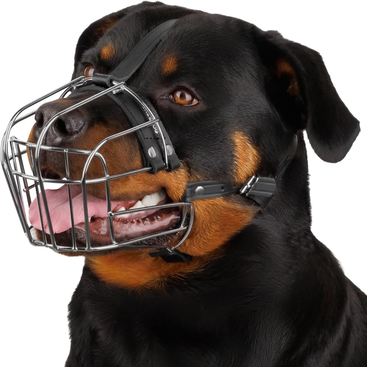 BRONZEDOG Steel Dog Muzzle for Rottweiler – Large Metal Basket w/ Leather Straps