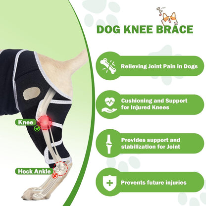 Dog Knee Brace for Torn ACL, Hip Dysplasia, Dog CCL Brace Front Leg or Rear XS