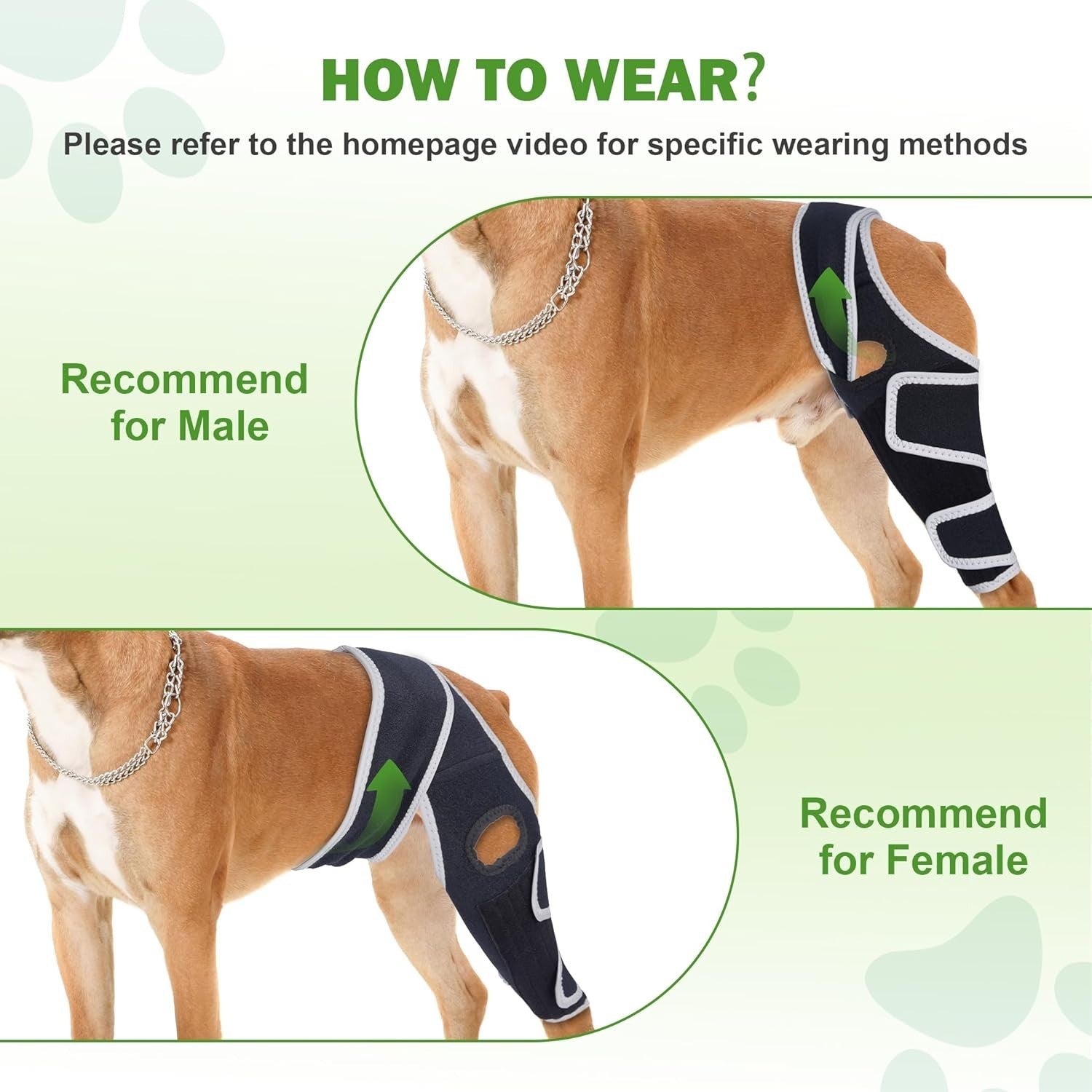 Dog Knee Brace for Torn ACL, Hip Dysplasia, Dog CCL Brace Front Leg or Rear XS