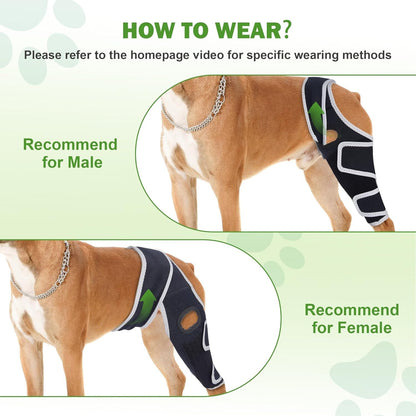 Dog Knee Brace for Torn ACL, Hip Dysplasia, Dog CCL Brace Front Leg or Rear XS