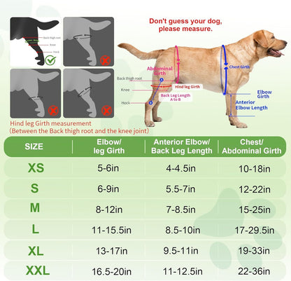 Dog Knee Brace for Torn ACL, Hip Dysplasia, Dog CCL Brace Front Leg or Rear XS
