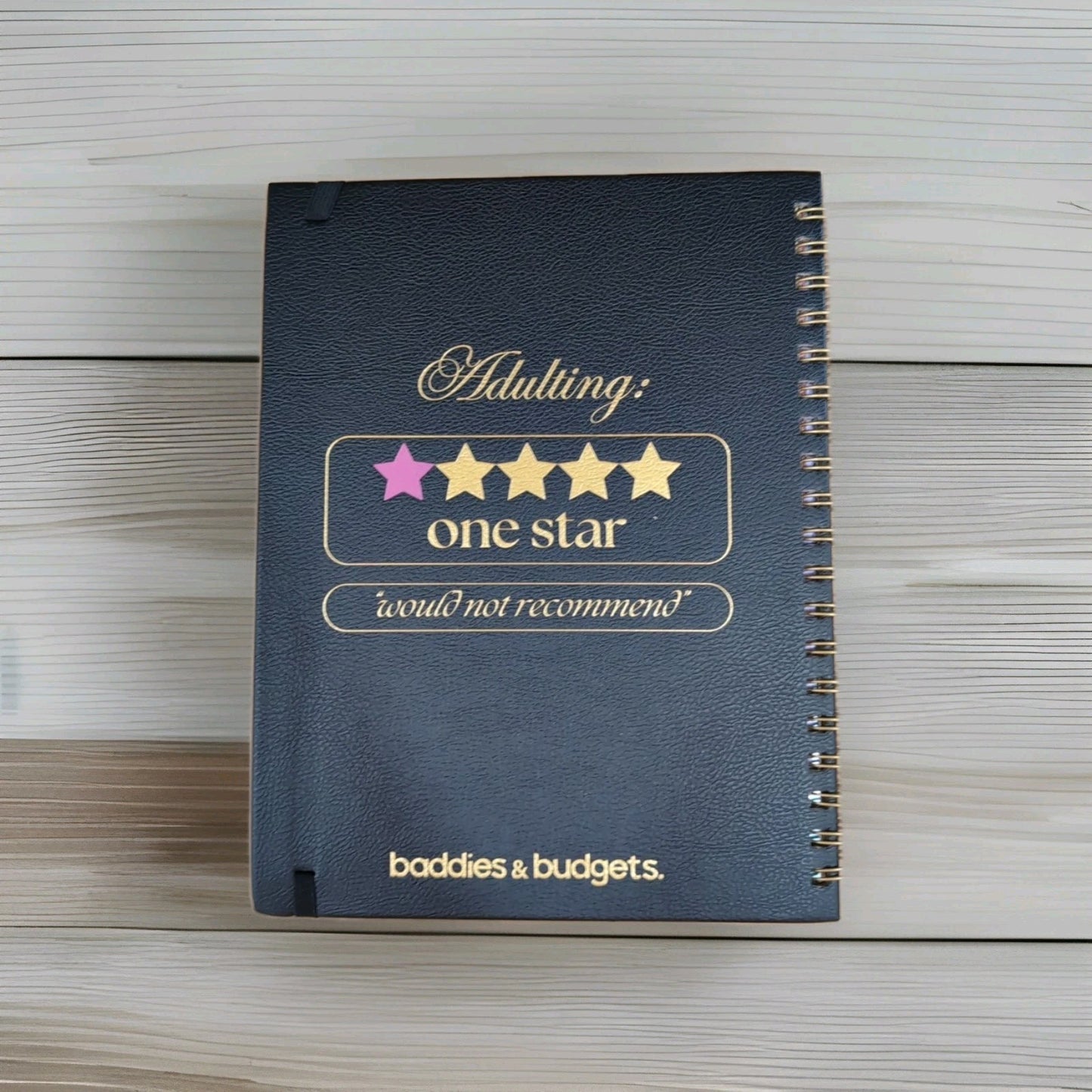 Funny Budget Savings Planner – Adulting w/ Less Crying - Baddies & Budjets NEW