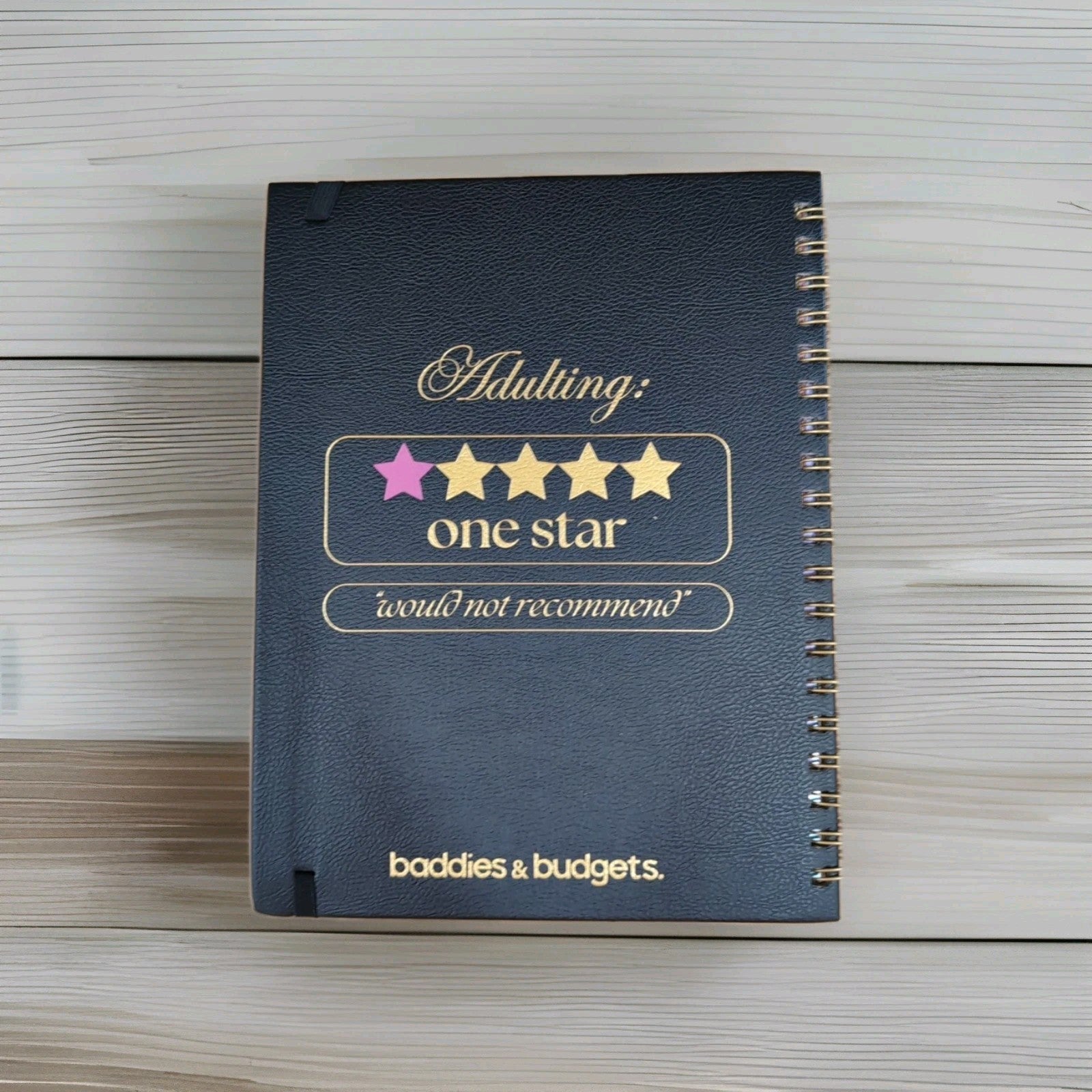 Funny Budget Savings Planner – Adulting w/ Less Crying - Baddies & Budjets NEW