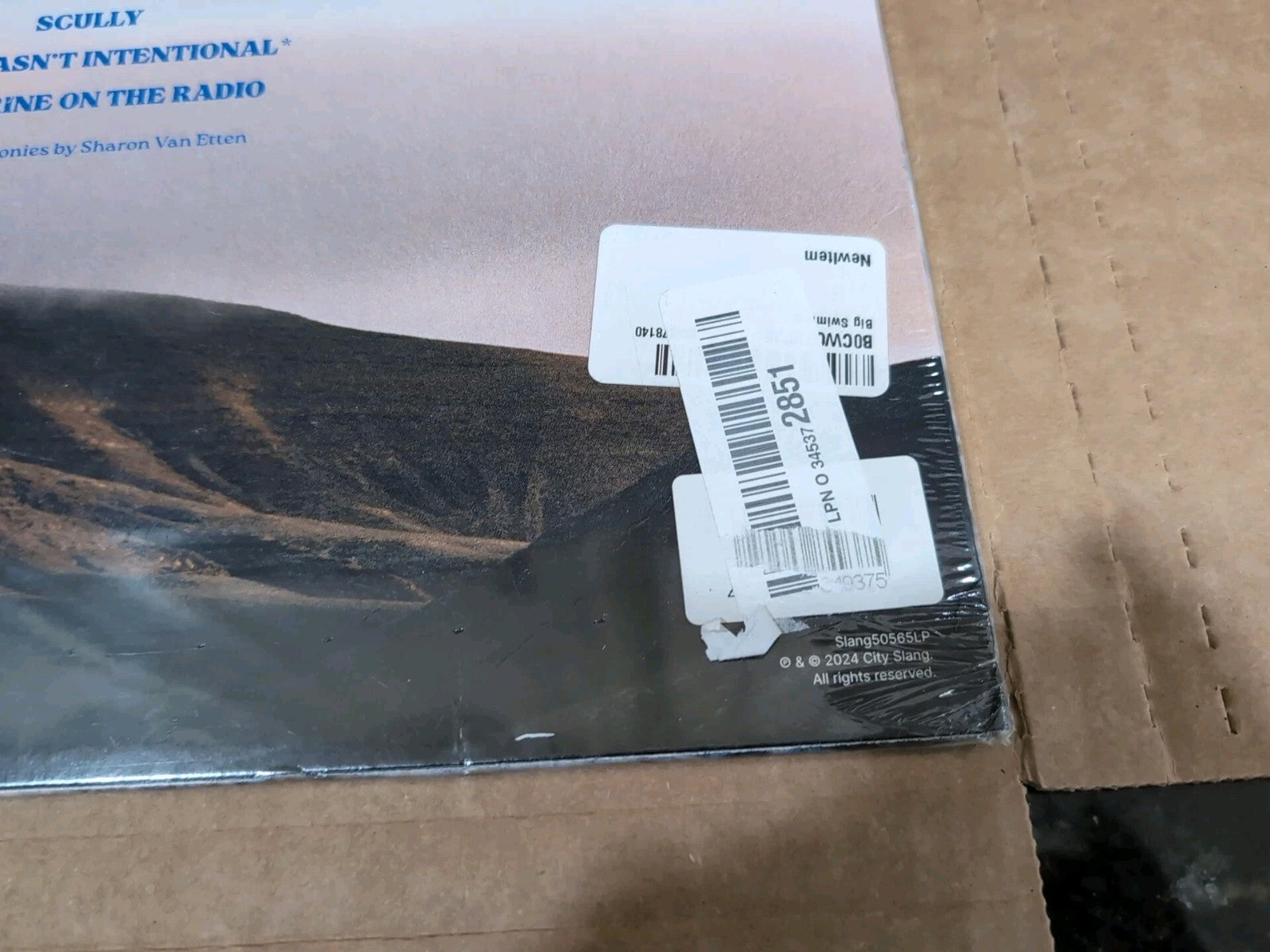 King Hannah – Big Swimmer - Blue LP Vinyl Record 12" - NEW Sealed - Alt Rock