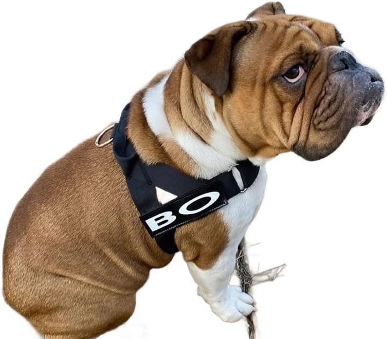 BULLHUG Adjustable Harness for bulldogs XL - Neck: 21"-26" Chest: 33"-36" BLACK