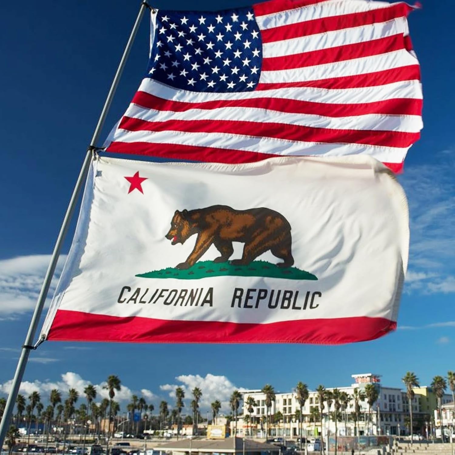 California Republic Flag 3x5 FT Outdoor – Embroidered Bear & Star, Heavy Duty