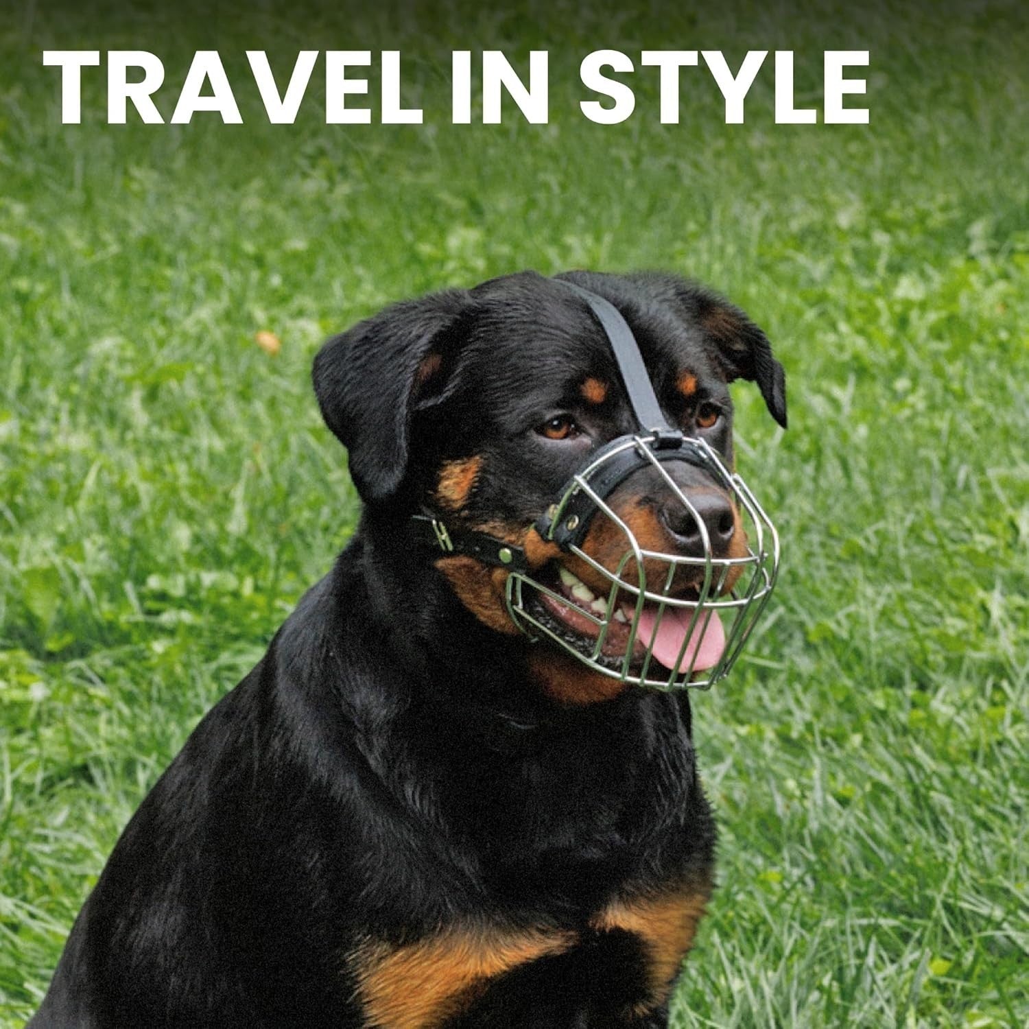 BRONZEDOG Steel Dog Muzzle for Rottweiler – Large Metal Basket w/ Leather Straps