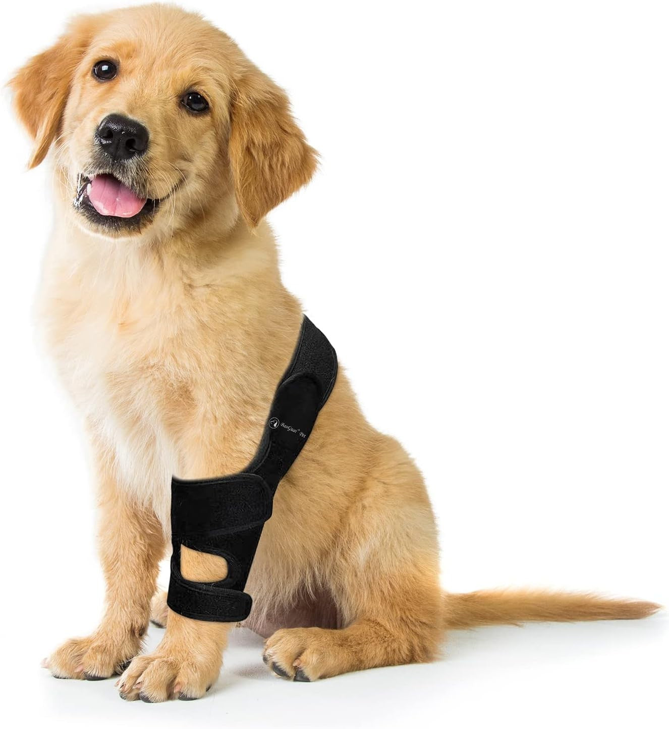 Knee Brace for Dogs ACL w/ Side Stabilizers,Knee  Dislocation, Arthritis (XXL)