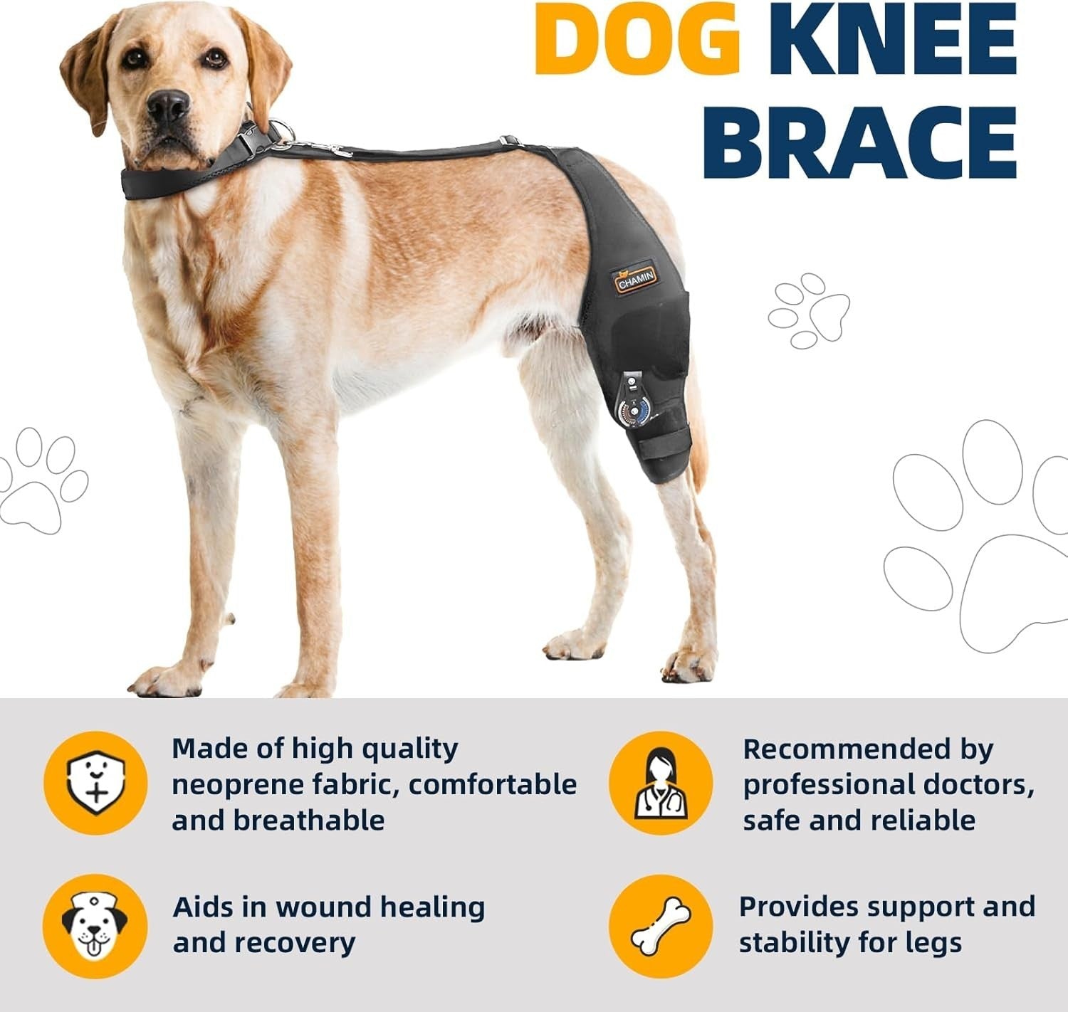 Adjustable Dog Knee Brace for Torn ACL Hind Leg - Rear Leg Limp - (Left Leg, XL)