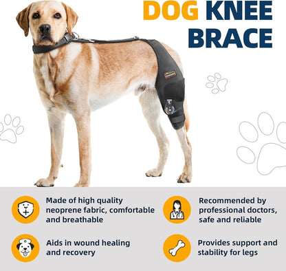Adjustable Dog Knee Brace for Torn ACL Hind Leg - Rear Leg Limp - (Left Leg, XL)