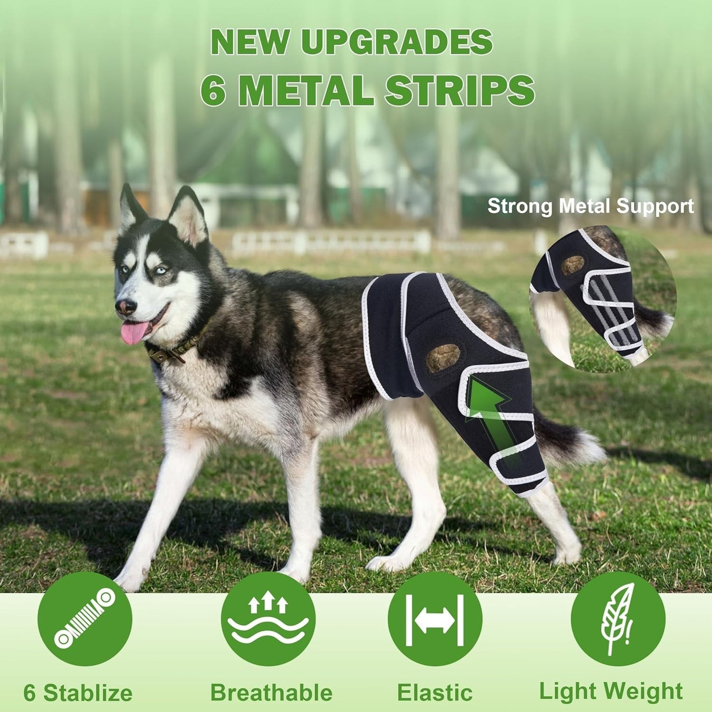 Dog Knee Brace for Torn ACL, Hip Dysplasia, Dog CCL Brace Front Leg or Rear XS