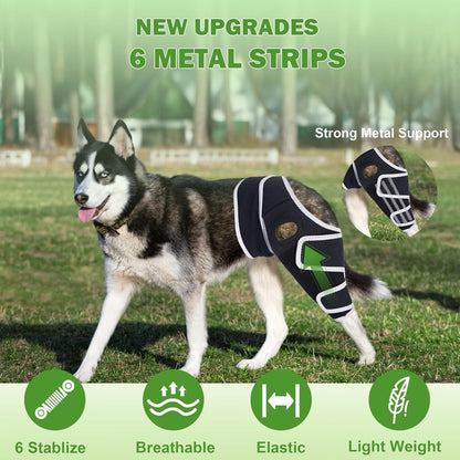 Dog Knee Brace for Torn ACL, Hip Dysplasia, Dog CCL Brace Front Leg or Rear XS