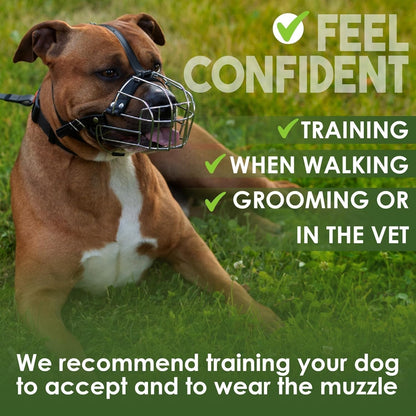 BRONZEDOG Wire Basket Dog Muzzle Size 4 Pitbull Amstaff Steel Leather Adjustable